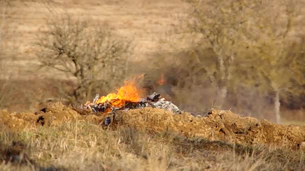 Fuego ardiente en el jardín — Vídeo de stock