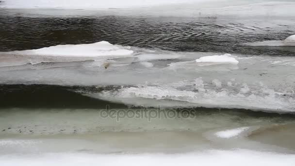 Río congelado en invierno — Vídeos de Stock