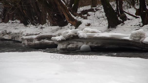 Frusen flod på vintern — Stockvideo