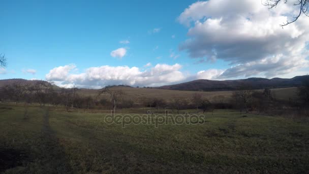 Vue sur le jardin — Video