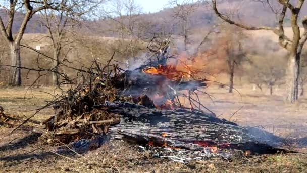 Палаючий вогонь в саду — стокове відео