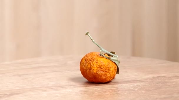 Mandarino secco su un tavolo — Video Stock