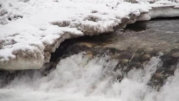 Fiume ghiacciato in inverno — Video Stock