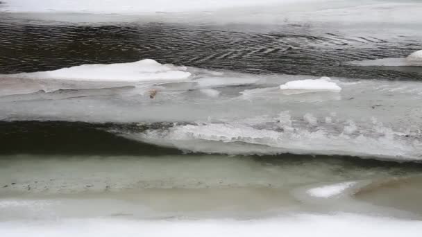 Río congelado en invierno — Vídeos de Stock