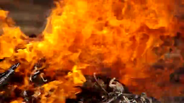 Fuoco ardente nel giardino — Video Stock