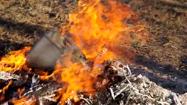 Пластиковый контейнер в огне — стоковое видео