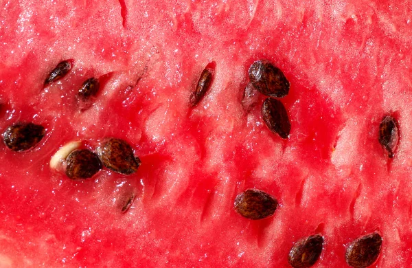 Ayrıntı kırmızı kavun