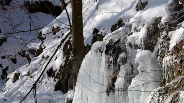 Cachoeira no Parque Nacional Slovak Karst, na aldeia chamada Haj no inverno — Vídeo de Stock