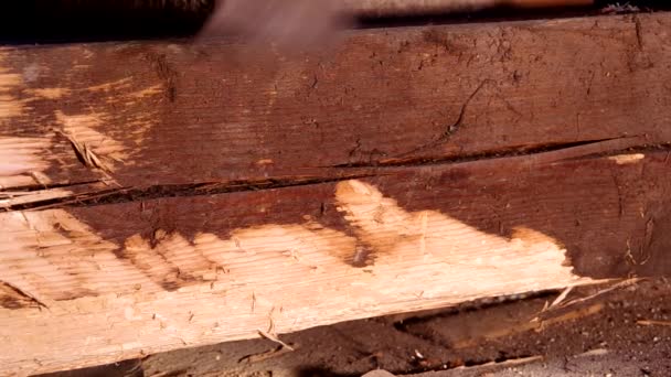 Snijden van een houten balk met een bijl — Stockvideo