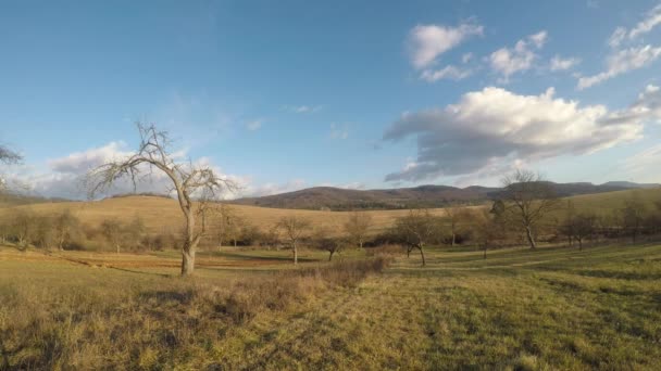 Árboles en otoño timelapse cielo — Vídeo de stock