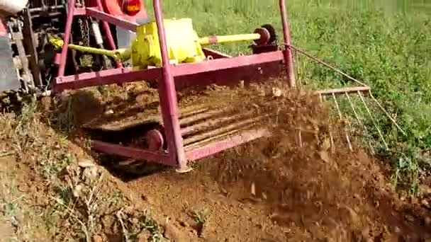 Ziemniaczane maszyny zniwne z ciągnika — Wideo stockowe