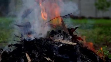 Portakal alev yeşil bir arka plan üzerinde - bir yangında komisyon