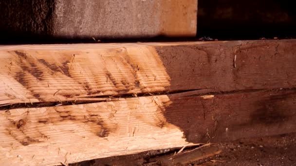 Cutting of a wooden beam with two-handed knife — Stock Video