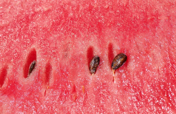 Detalle de melón rojo — Foto de Stock