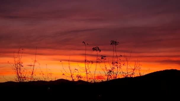 Bel Tramonto Cielo Nuvole Sera Movimento — Video Stock