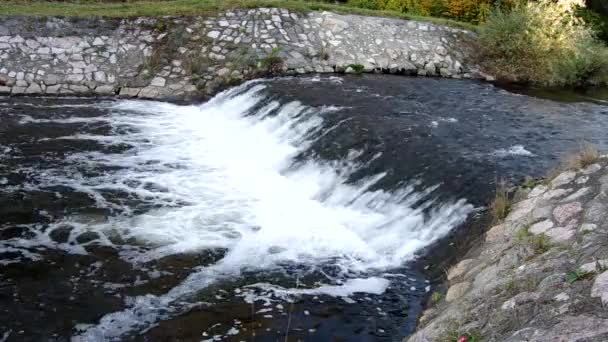 Peces Saltando Cascada Yendo Río Arriba Para Desove — Vídeo de stock