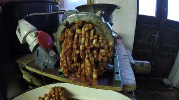 电动磨床上的碎的肉 — 图库视频影像