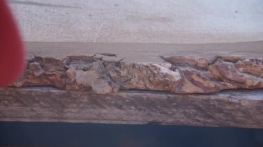 Matkapla ceviz ağacının kabuğu işleniyor.