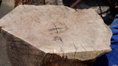 Working of walnut wood with angle grinder