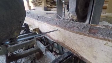 Bıçkıhanede çam ağacı kesiyorum.