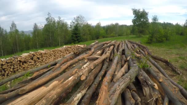 Brennholz Auf Der Wiese Bereit Für Den Winter — Stockvideo