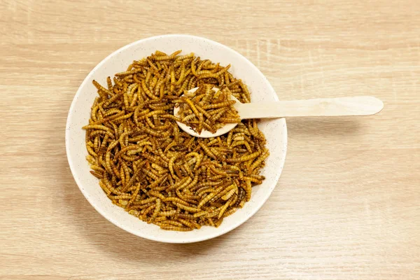 Eating insects concept - a bowl of dried mealworms and a wooden spoon