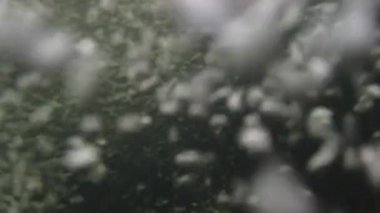 Hızlı bir nehir şelalesinde su altı kabarcıkları. Nehir kabarcıkları