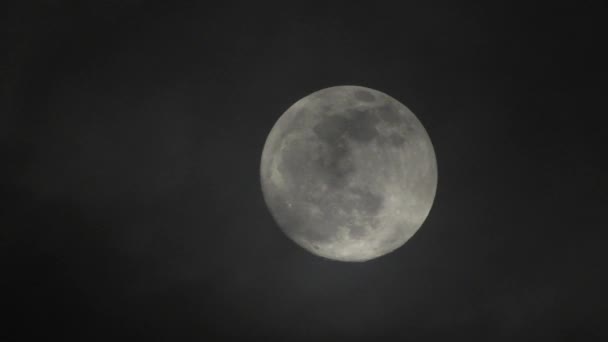Luna Llena Noche Nublada Oscura Nubes Pasando Por Luna Tiro — Vídeo de stock