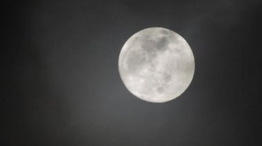 Karanlık bulutlu bir gecede dolunay. Ay 'ın yanından geçen bulutlar, gerçek zamanlı çekim.