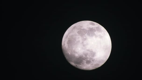 Luna Piena Nella Notte Buia Nuvolosa Nuvole Che Passano Vicino — Video Stock