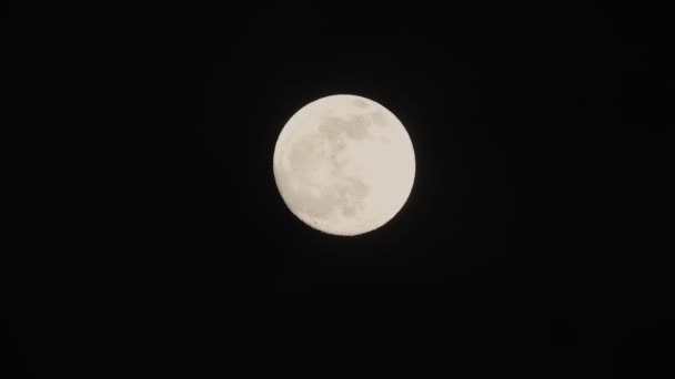 Полная Луна Тёмную Облачную Ночь Облака Проходящие Мимо Луны Выстрел — стоковое видео
