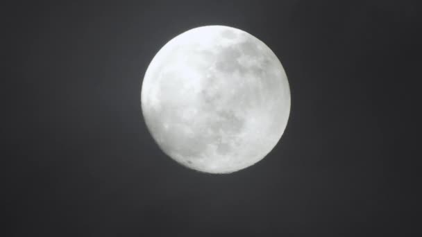 暗い曇りの夜に満月 雲が月を通り過ぎてリアルタイムで撃たれた — ストック動画