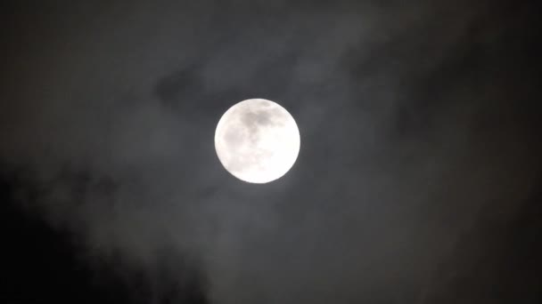 Luna Plina Noaptea Intunecata Nori Care Trec Lângă Lună Nori — Videoclip de stoc