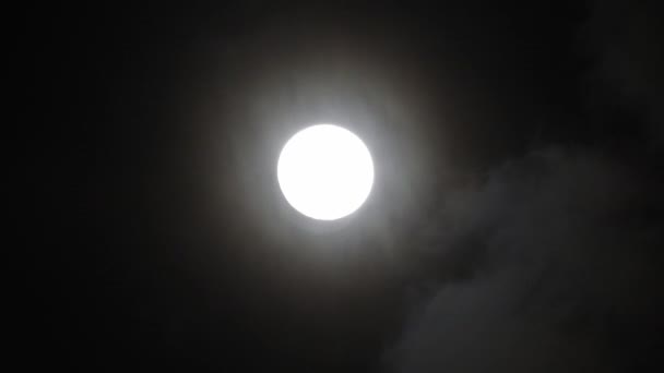 Повний Місяць Темну Ніч Хмари Проходять Повз Місяць Режимі Реального — стокове відео