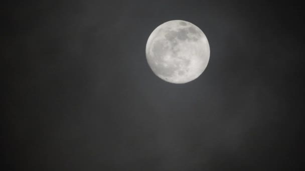 Full Moon Dark Cloudy Night Clouds Passing Moon Real Time — Stock Video