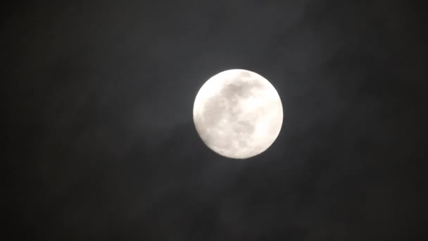 Luna Llena Noche Nublada Oscura Nubes Que Pasan Por Luna — Vídeo de stock