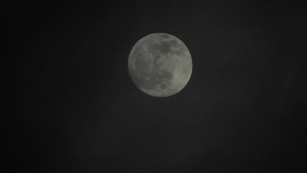 Lua Cheia Noite Escura Nublada Nuvens Passando Pela Lua Tiro — Vídeo de Stock