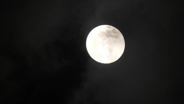 Full Moon Dark Cloudy Night Clouds Passing Moon Real Time — Stock Video