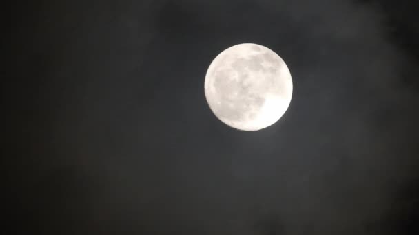 Luna Llena Noche Nublada Oscura Nubes Que Pasan Por Luna — Vídeos de Stock