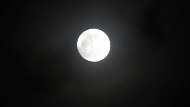 Luna Llena Noche Nublada Oscura Nubes Que Pasan Por Luna — Vídeo de stock