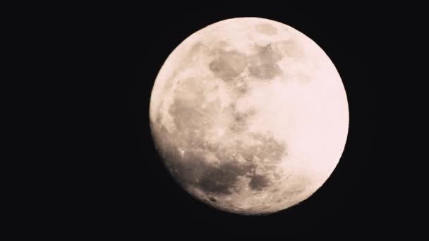Pełnia Księżyca Ciemną Pochmurną Noc Chmury Przechodzące Przez Księżyc Strzał — Wideo stockowe