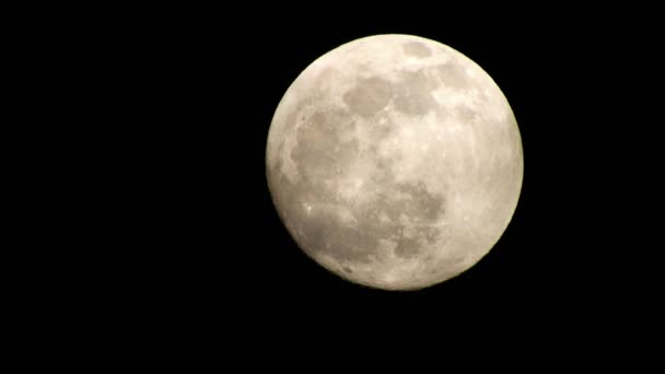 Volle Maan Donkere Bewolkte Nacht Wolken Passeren Maan Real Time — Stockvideo