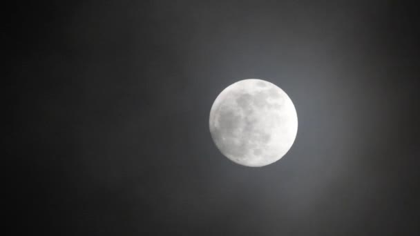 Fullmåne Mörk Mulen Natt Moln Som Passerar Månen Realtidsbilder Moln — Stockvideo