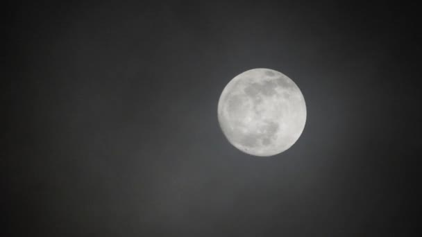Luna Llena Noche Nublada Oscura Nubes Que Pasan Por Luna — Vídeos de Stock