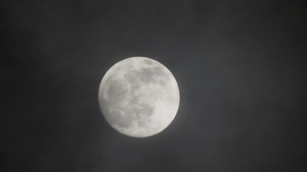 Luna Llena Noche Nublada Oscura Nubes Que Pasan Por Luna — Vídeo de stock