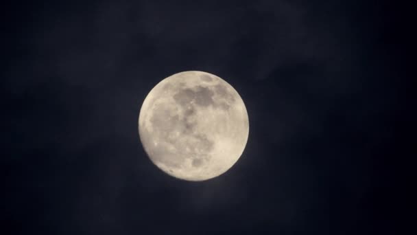 Vollmond Dunkler Bewölkter Nacht Wolken Die Mond Vorbeiziehen Echtzeit Aufnahmen — Stockvideo