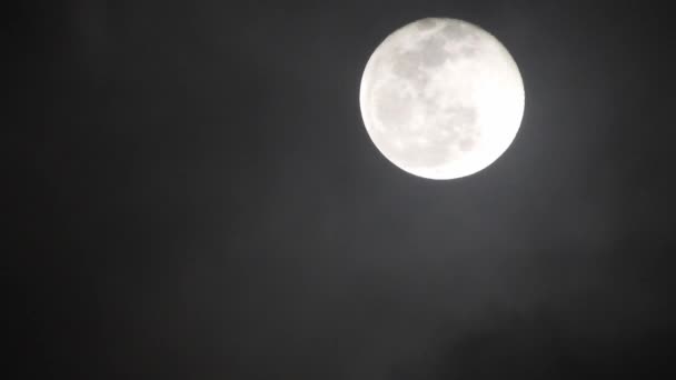 Luna Llena Noche Nublada Oscura Nubes Que Pasan Por Luna — Vídeos de Stock