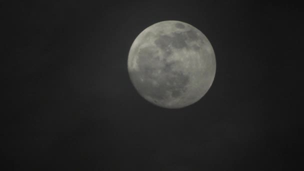 Полная Луна Тёмную Облачную Ночь Облака Проходящие Мимо Луны Реальном — стоковое видео