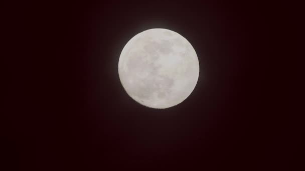 Full Moon Dark Cloudy Night Clouds Passing Moon Real Time — 비디오