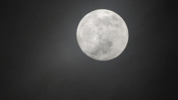 Lua Cheia Noite Escura Nublada Nuvens Passando Pela Lua Tiro — Vídeo de Stock